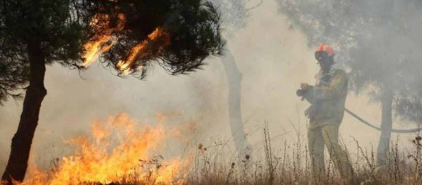 Μεγάλη πυρκαγιά σε δασική έκταση στην Ηλεία